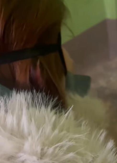 北掸邦军解救了一名被绑架女孩！六名涉案青年把勐拉地区的小姑娘，骗到了当阳县地