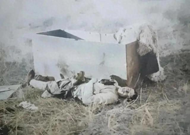 杨靖宇殉国后日军拍的那张照：遗体躺木柜旁，羊皮袄被扒。春风在铁轨上跑得很快，