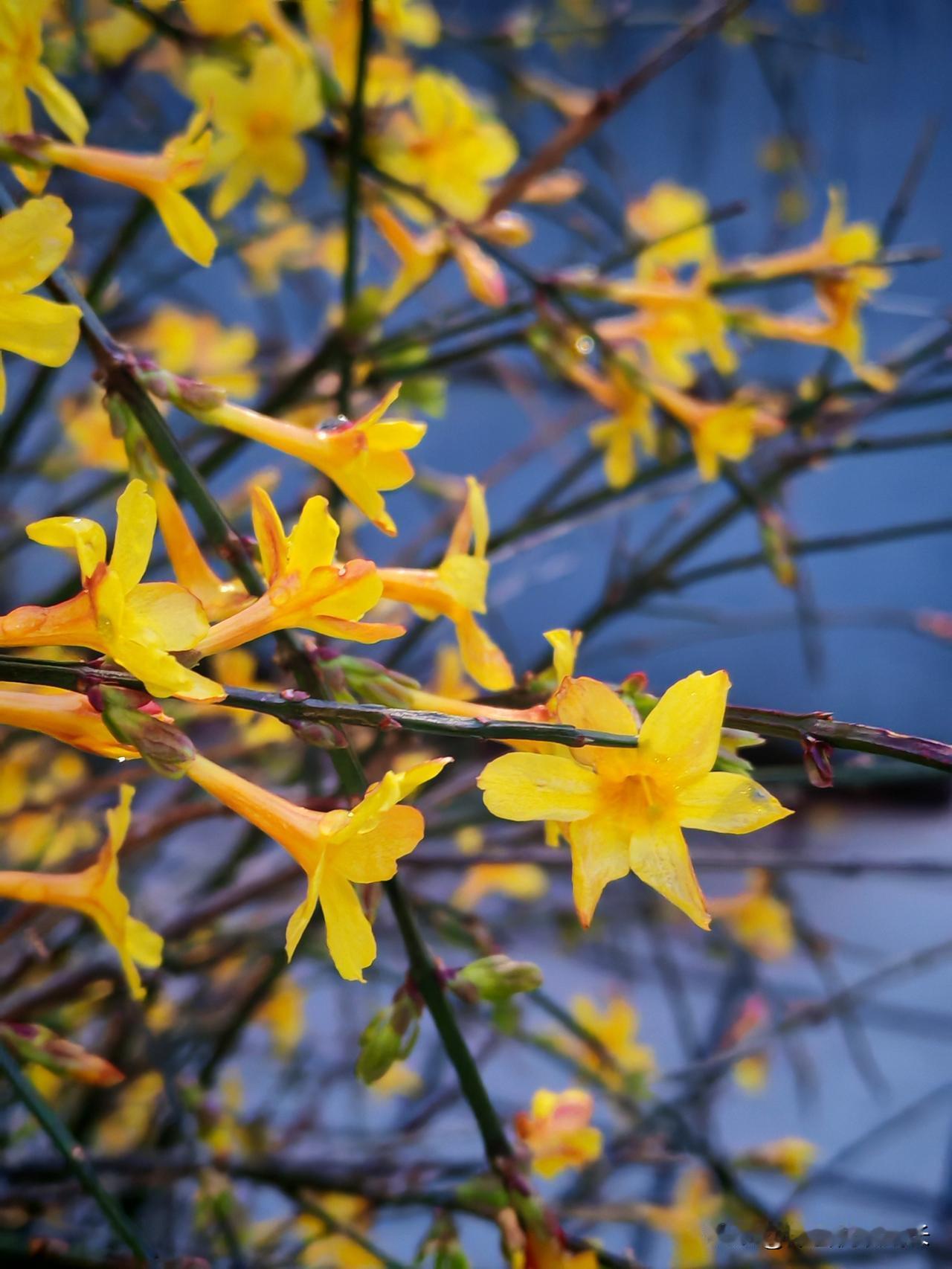 你敢想象吗？一个人走了几个月，车还孤零零停在医院，房子再也没人能打开，留下的财产