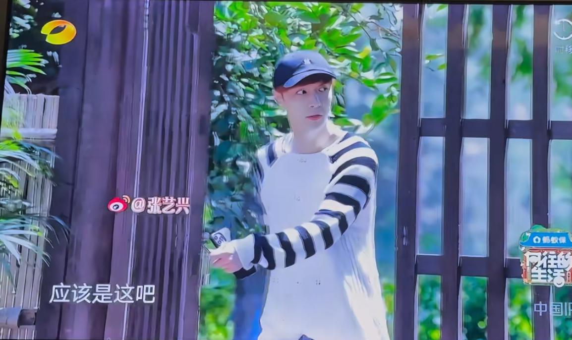张艺兴《向往的生活》自带BGM上场。一开门就是一张帅脸。只是无人迎接。只见