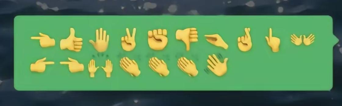 这段手语啥意思？