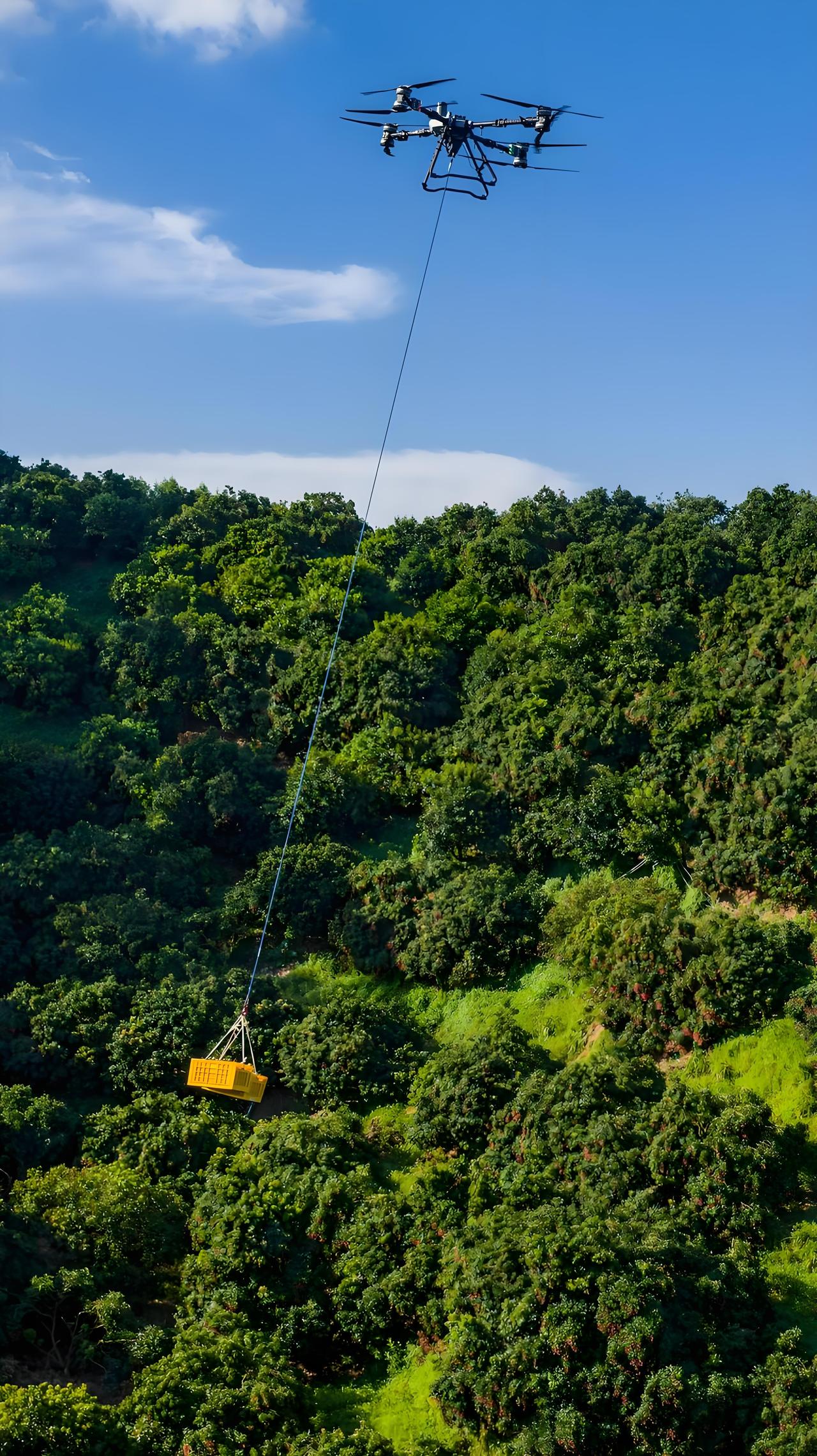 2024年被称为“低空经济元年”，这一领域正迎来快速发展。全国已建成通用机场44