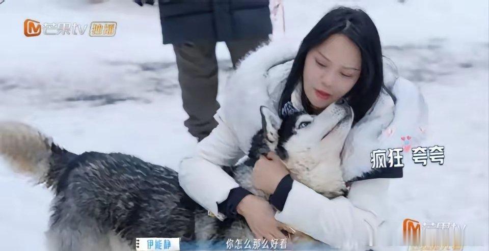 伊能静和马頔对待雪橇犬的态度，高下立见。马頔抱着犬拍完照，转头就说：“太臭了！”