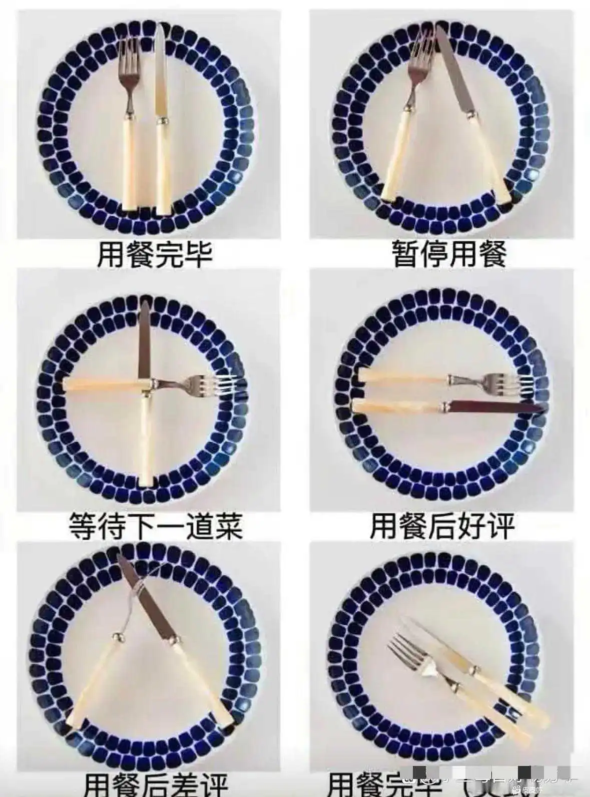 餐桌礼仪，你学会了吗？？