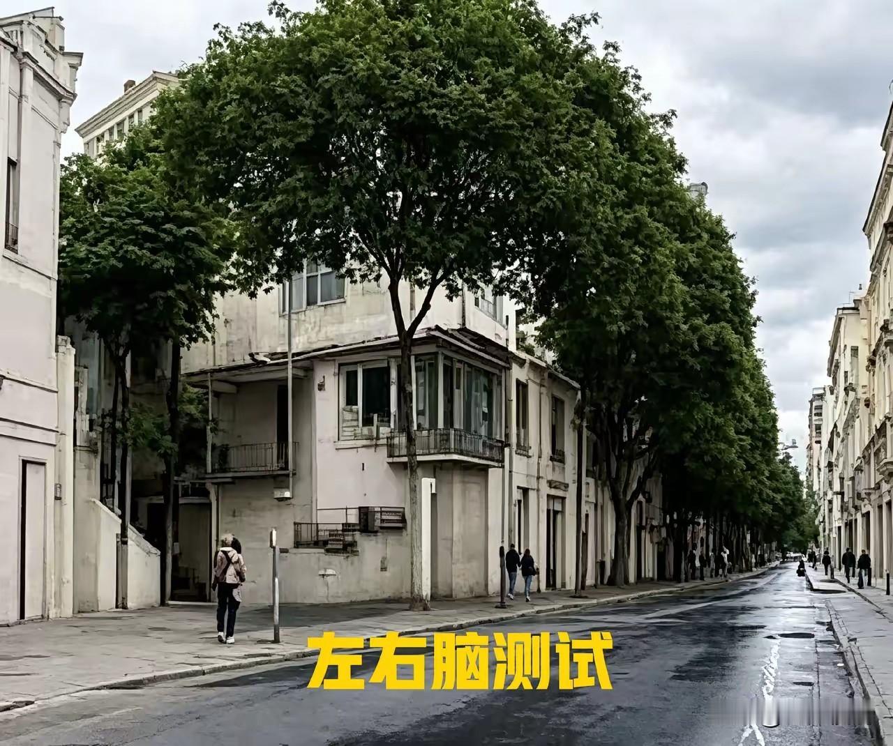 这是一张经典的左右脑测试图。据说如果你启用右脑思维，就会看到一只猫咪；如果你调