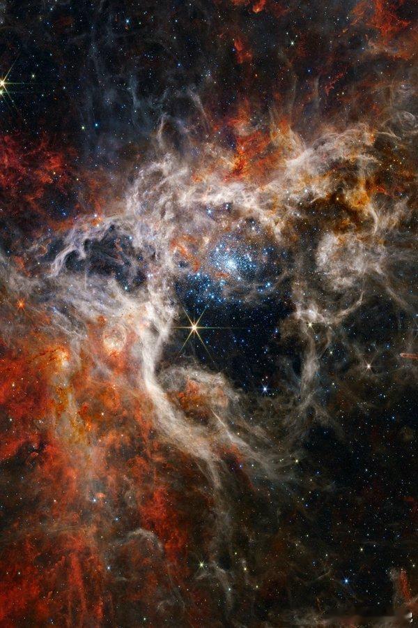 邻近的大麦哲伦云中的塔兰图拉星云，由詹姆斯·韦伯太空望远镜拍摄这是本星系群中最大