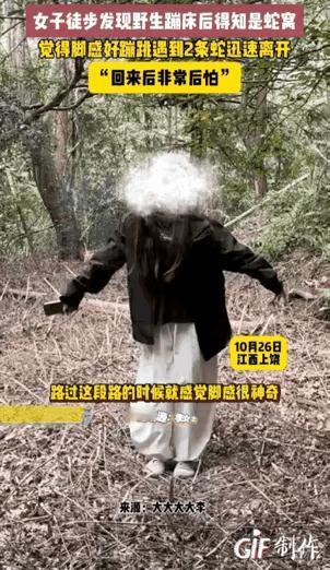 看得我后背直冒冷汗!这姑娘也太敢了,居然在眼镜王蛇窝上蹦跳,还以为踩了个