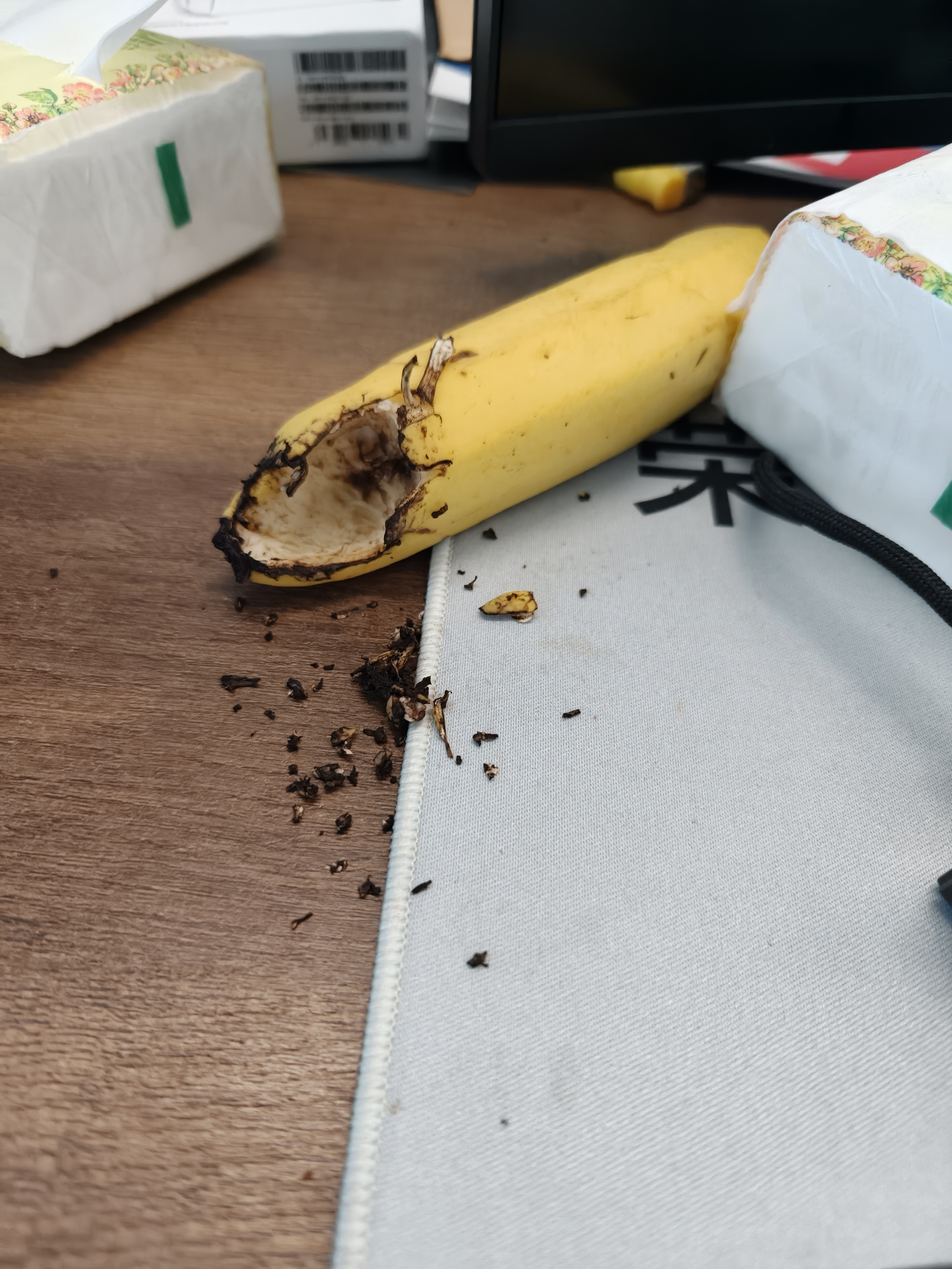 同事买的香蕉，被老鼠啃了准备买两只猫，抓老鼠
