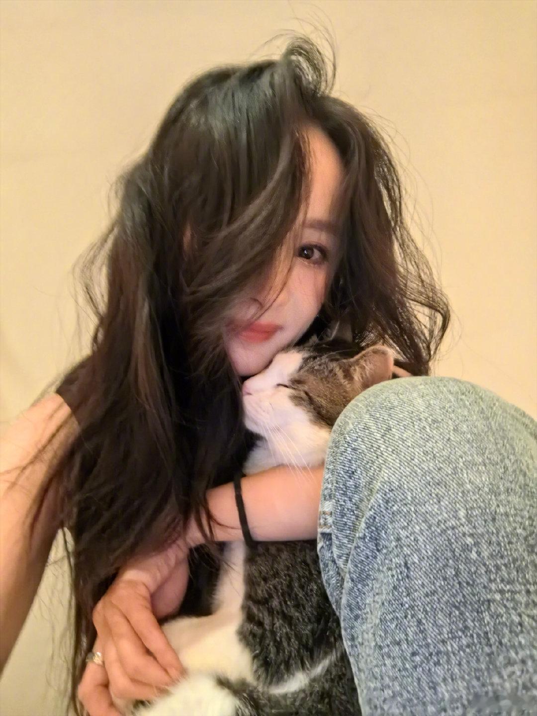 好美的杨幂哇哇哇杨幂小猫贴贴[爱心]两个如此萌的小猫杨幂好可爱的小猫咪​​​