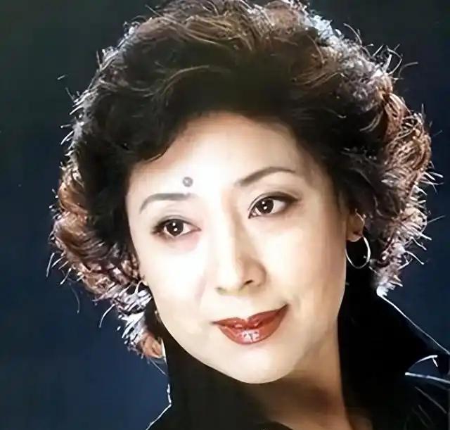 1990年的一天晚上，经历了丈夫无数次殴打后，著名歌唱家关牧村再也忍无可忍，看着