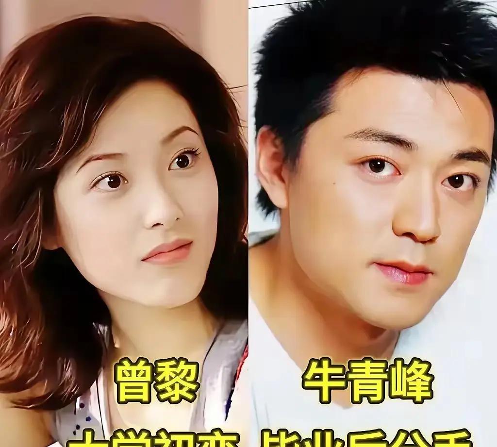 曾黎的荧幕形象丰富多元，比如《青云志》里的金铃夫人、《聊斋志异之画皮》中的梅三娘