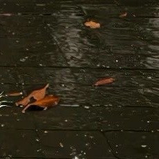 我往宇宙撒了把盐，要是明天还没下雨，就去便利店买包盐，顺便问问宇宙，是不是把我的