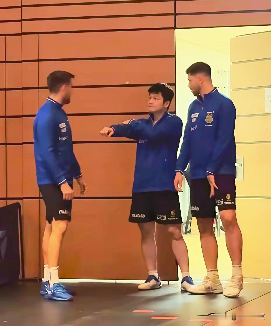 一直以为王楚钦英语好，现在发现樊振东英语也不差！达科的母语是斯洛文尼亚语，