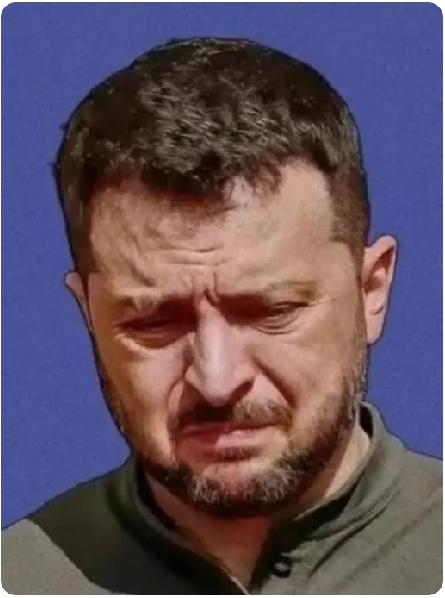 曾经的乌克兰总统泽连斯基，无论是到美国还是到欧盟参会，都受到热烈欢迎，到处是鲜花