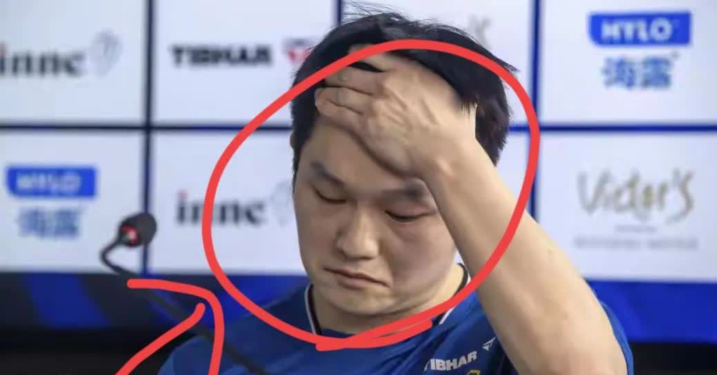 救命！别再替樊振东瞎操心了别担心，这根本就不是翻车！人家是要去闯欧洲顶级