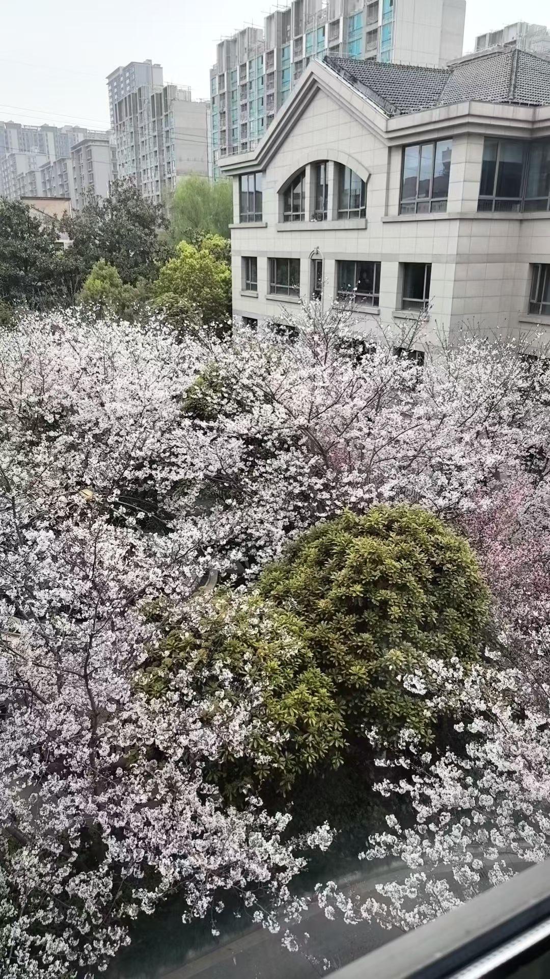 “人人尽说江南好，游人只合江南老。春水碧于天，画船听雨眠。”