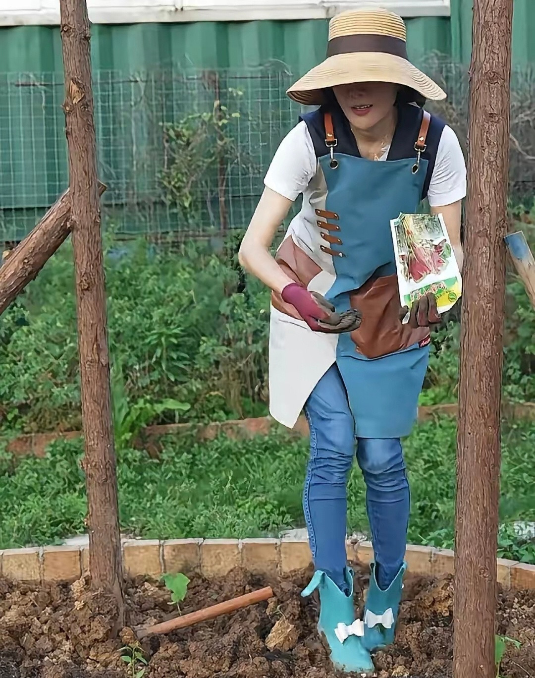 杨乐乐模仿苗苗，自己下地种有机蔬菜，她给菜园取名“禅与花园”，撒了苋菜种子，种了