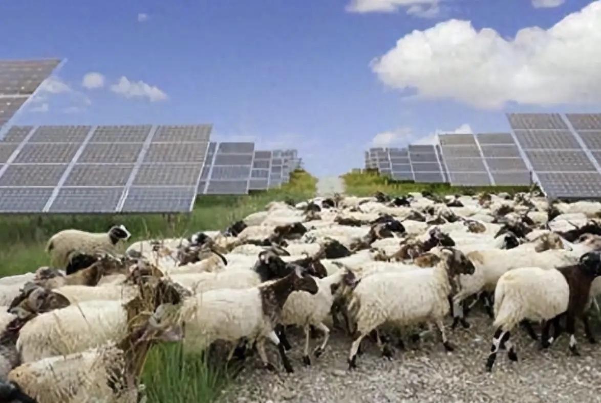 万万没想到，中国基建闹了个大“乌龙”，本打算耗资3亿在荒漠建发电厂，没想到10年