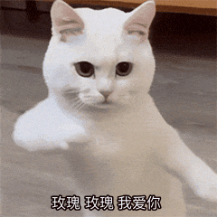 白玉兰评委评选标准三个方面一温度：艺术感染力二态度：作品的思想内核和艺术家的立场