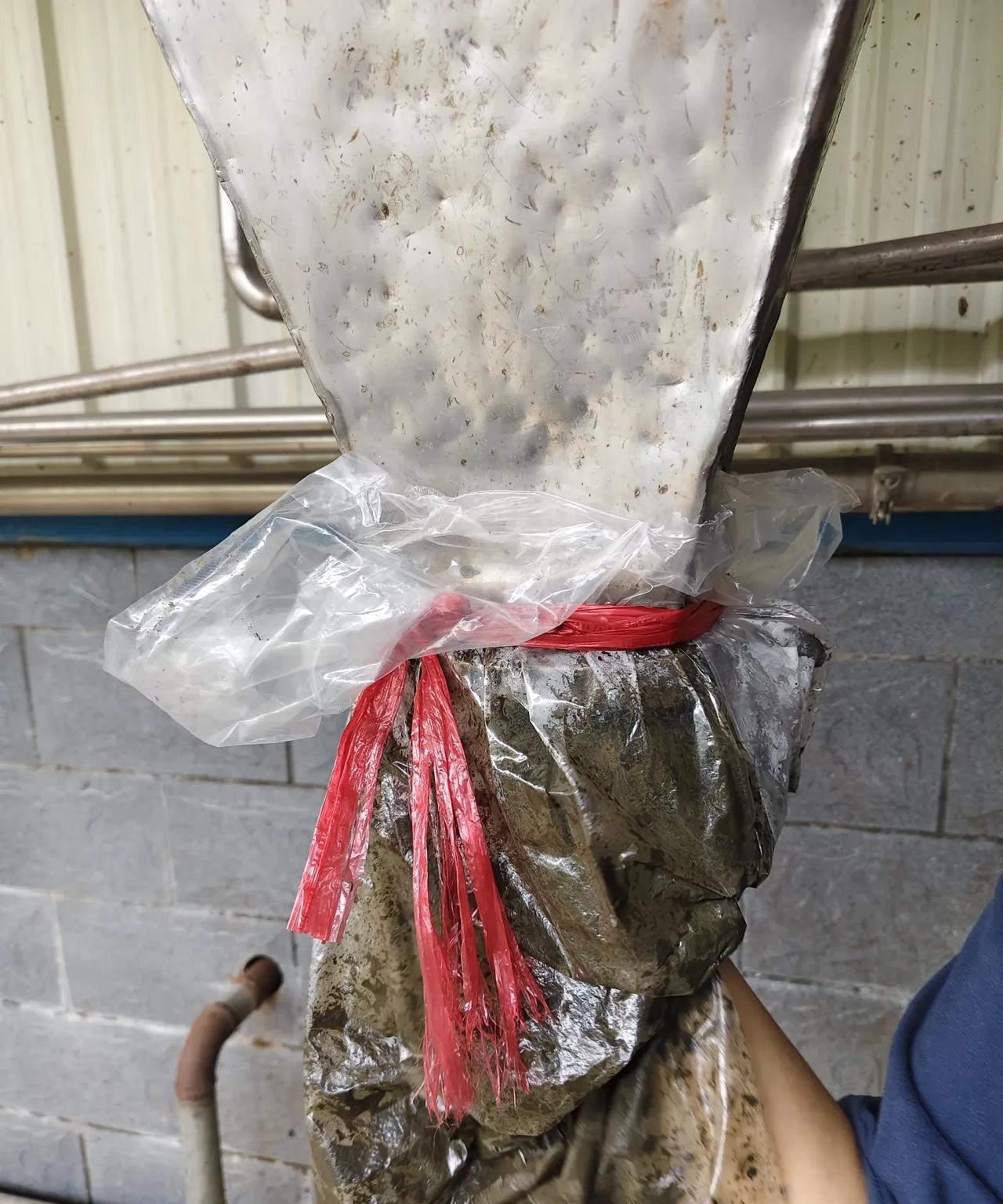 在我们公司打暑假工的儿子，今天早上走路一瘸一拐的。我问儿子是怎么了。儿子说，