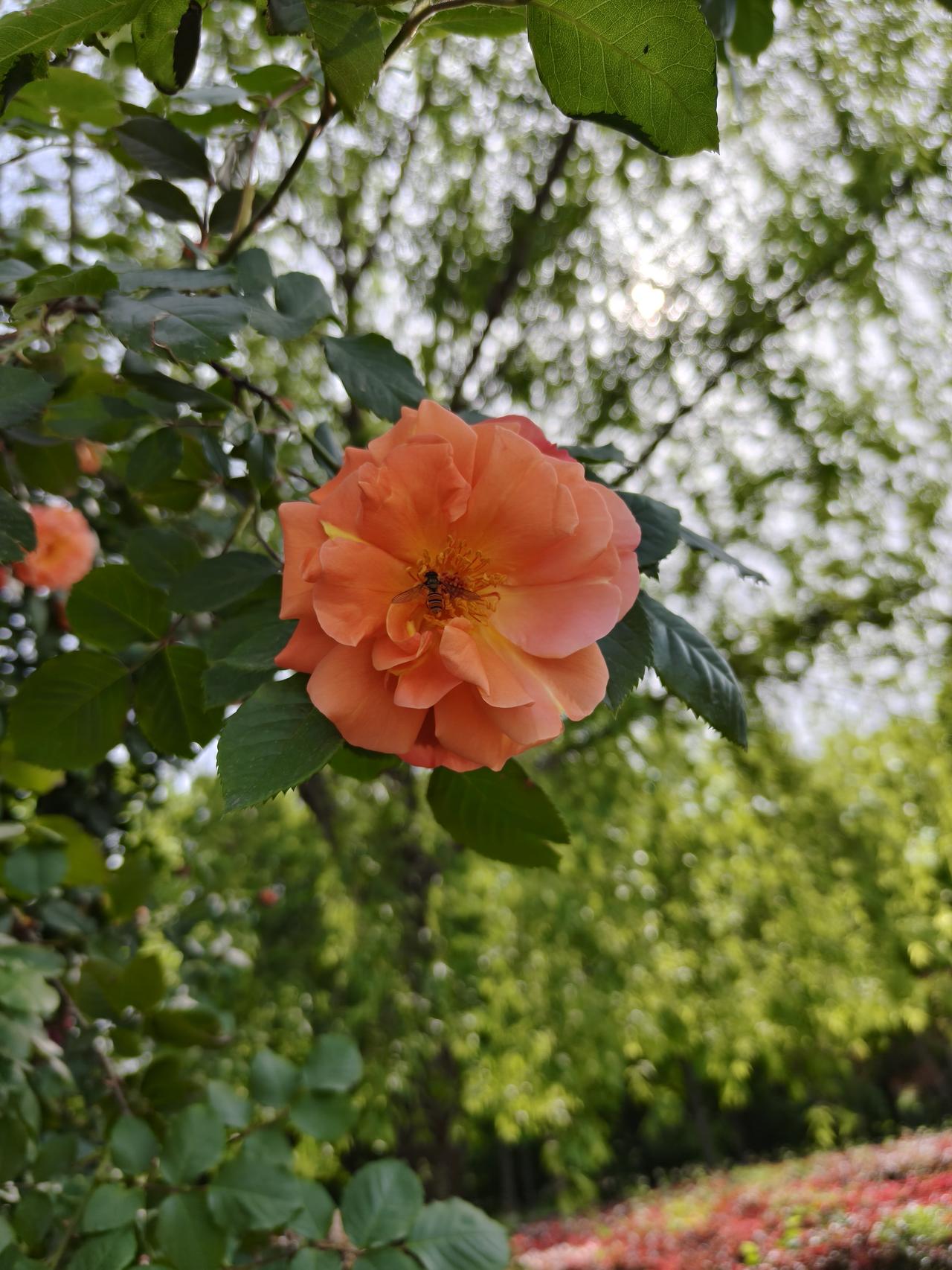 人老了为何不愿让人提及“死”这个字，甚至压根不让人谈论安排后事。我有个朋友，她的