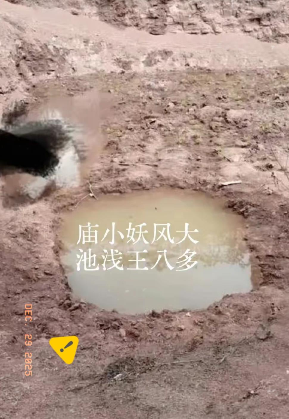 亚洲周刊算是第一媒体了吧，你不让我说，好，字字不提，却字字相关。删光南博相