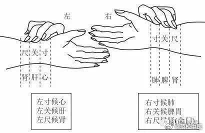 人体的脉搏，一分钟跳多少次算正常？正常人的脉搏和心跳是一致的。正常成人的脉搏次数