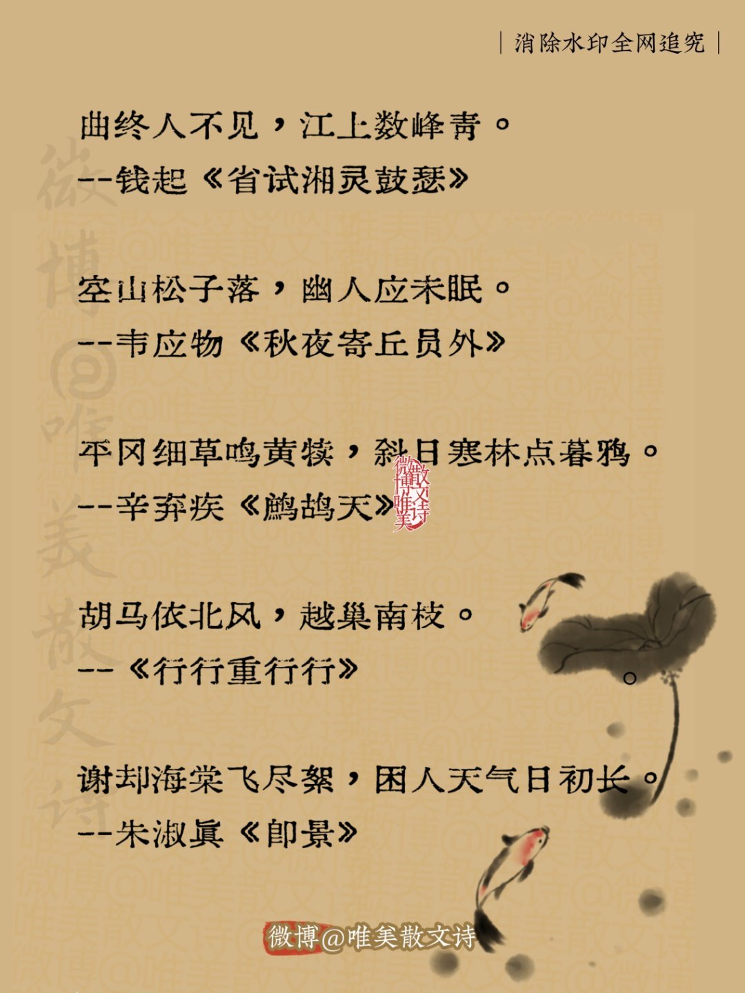 “醉美古诗词，冷门诗词，韵味十足。”
