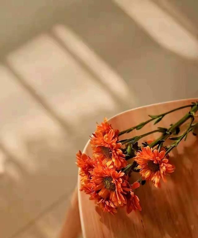 最近老想起我前夫。他这人毛病不少，但在钱上从不跟我计较。现在这位倒好，张嘴闭嘴