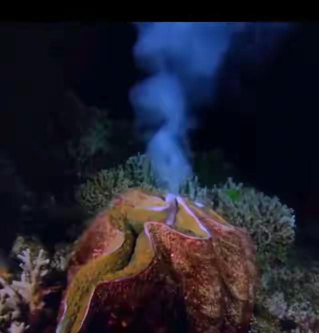 很多古籍里都有幽灵粒子中微子，比如《道德经》《山海经》我们一直没有发现！现在回