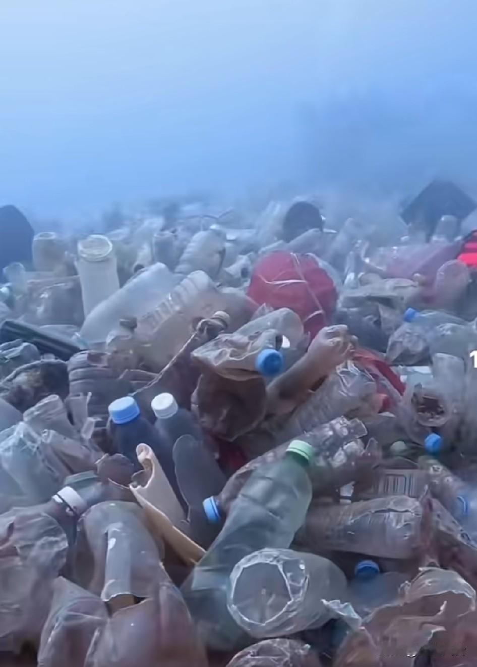 地球已经被人类摧残的不成样了，无奈呀！大量塑化大量塑料颗粒，每个人都跑不掉！源
