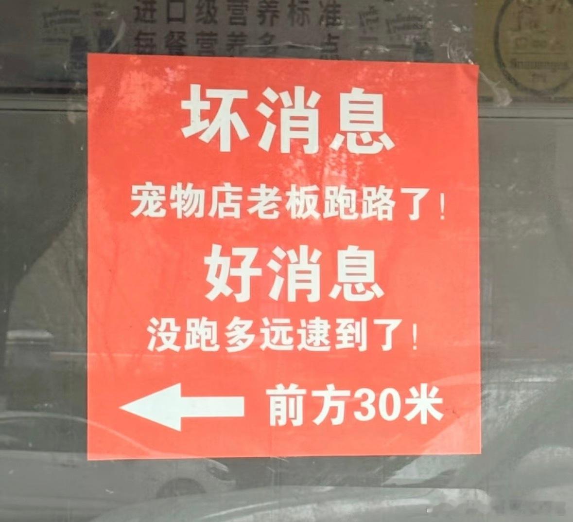 宠物店老板跑路跑了30米