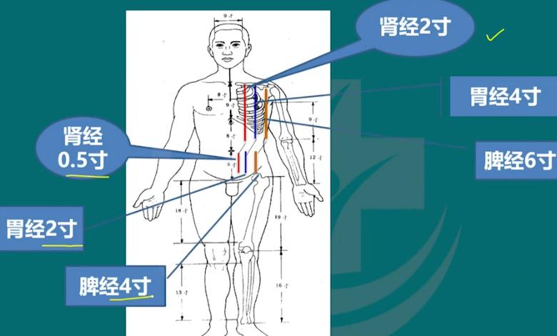 《吴公·阿是别通疗法》指出，人体几乎所有疾病在发作前和发作期，都会在特定部位呈现