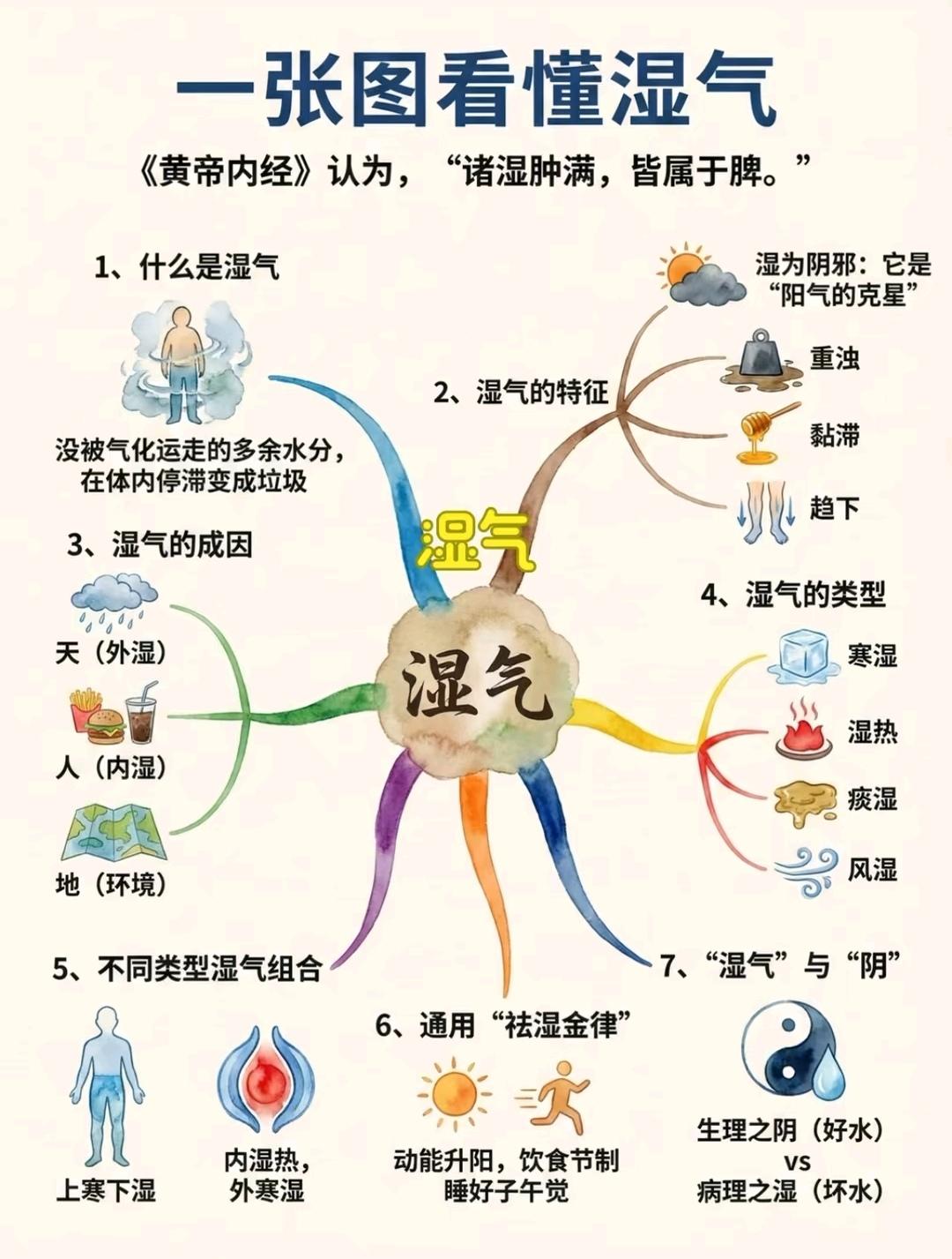 人体的湿气是怎么形成的 健康知识科普 湿气重的表现 养生知识分享 人体...