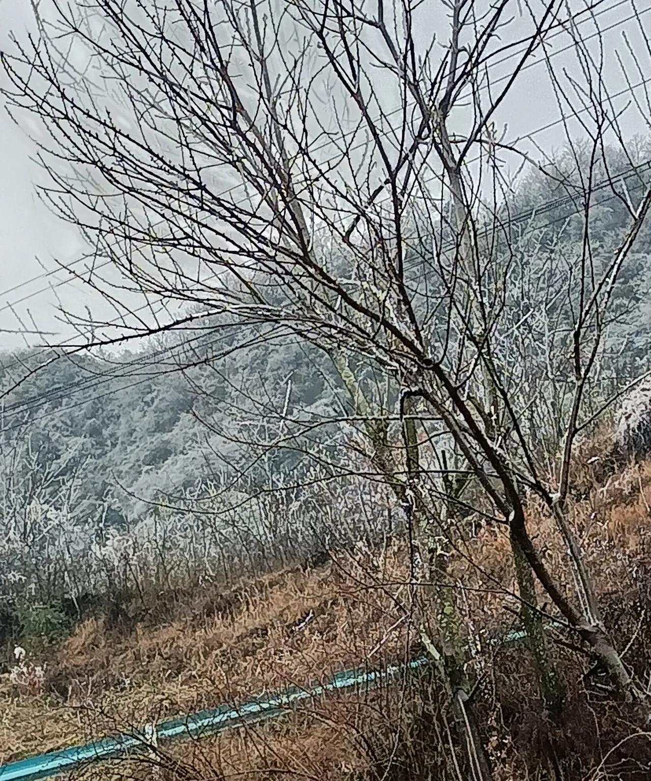 五年前我生了孩子满月后带回老家，公公的姐姐知道后背了一百多个鸡蛋来看我，大约中午