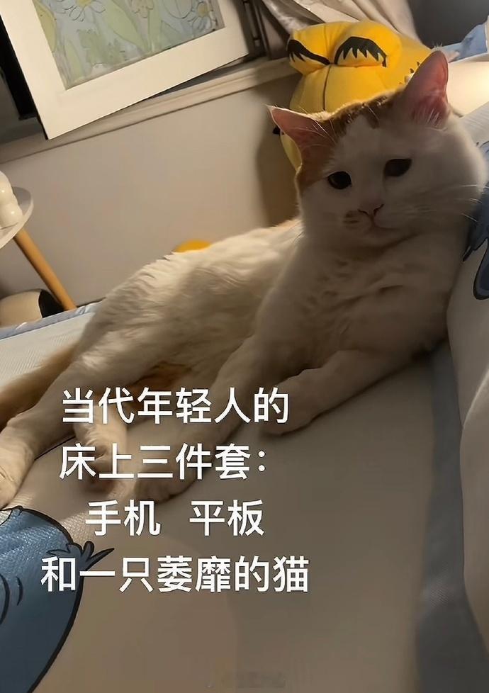 当代年轻人的床上三件套​​​
