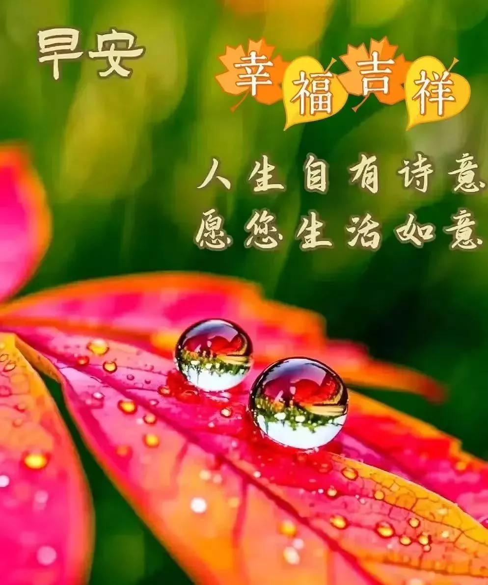 早安心语：人生自有诗意，愿您生活如意晨曦破晓，新的一天轻盈开启。人生恰似一首悠