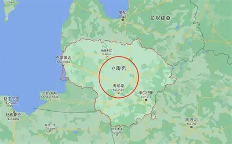新加坡前国会议员吴俊曾发文指出：“过去四年来，中国断绝和立陶宛的外交和经贸往来，