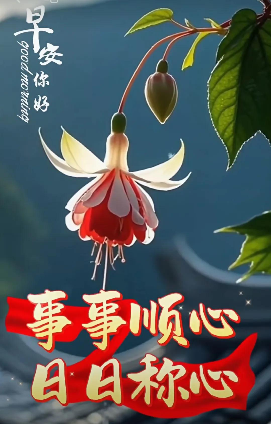 盛夏美麗的清晨，請收下我的祝福：願你與陽光同行，慶你與健康擁抱，送你與快