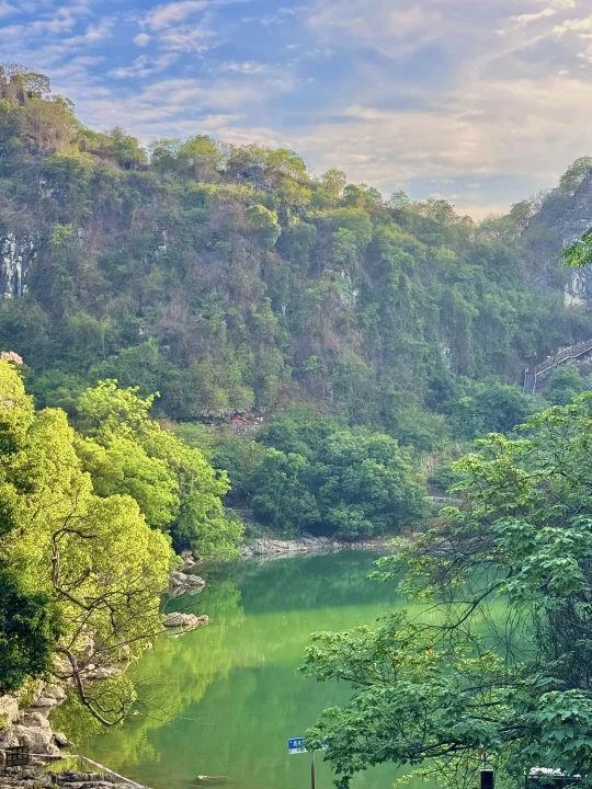 广西文旅怎么不宣传这里啊⛰️因为免费吗‼️