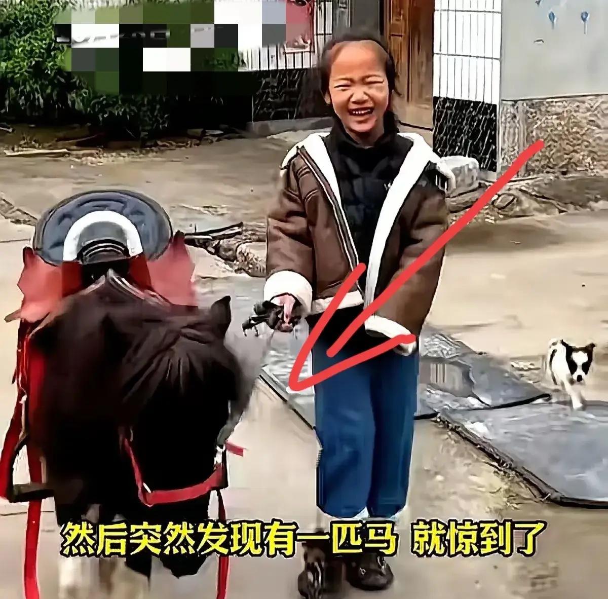 山东淄博，一名女婿去快递点，本想拎两包纸巾，结果被一匹70厘米高的设特兰矮马用水