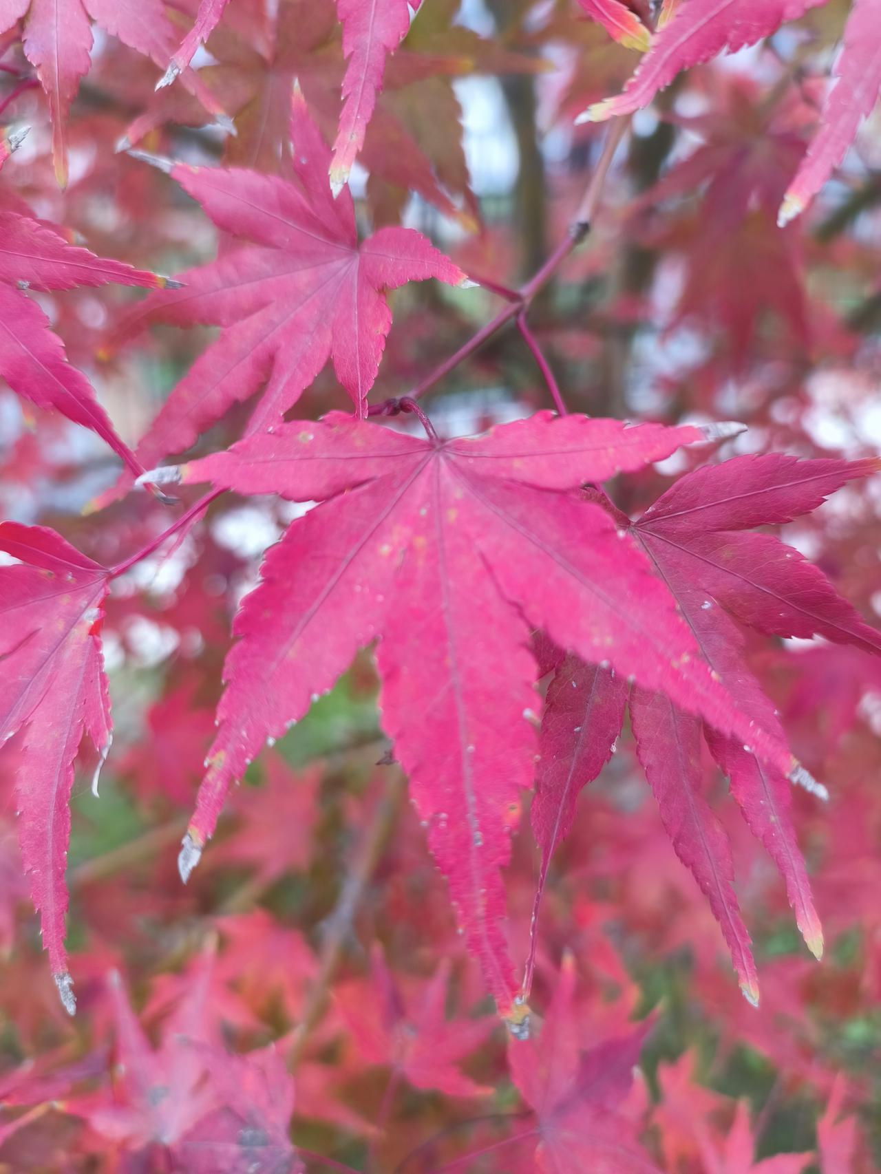 很多有名气的学校都有严格的规定，要求当天课堂作业或者试卷，必须当天完成。这是