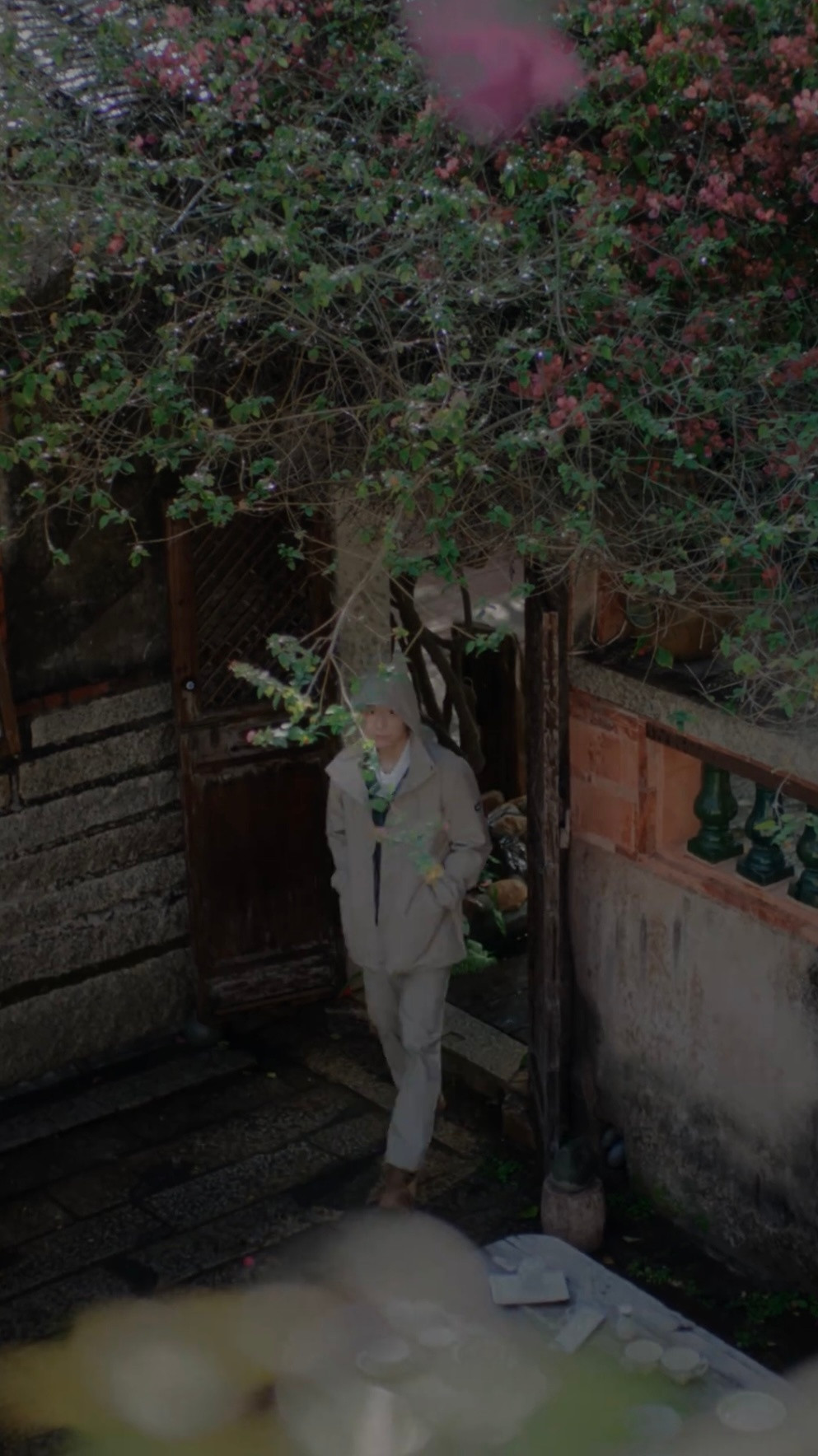 捉住一只戴帽子的小猫