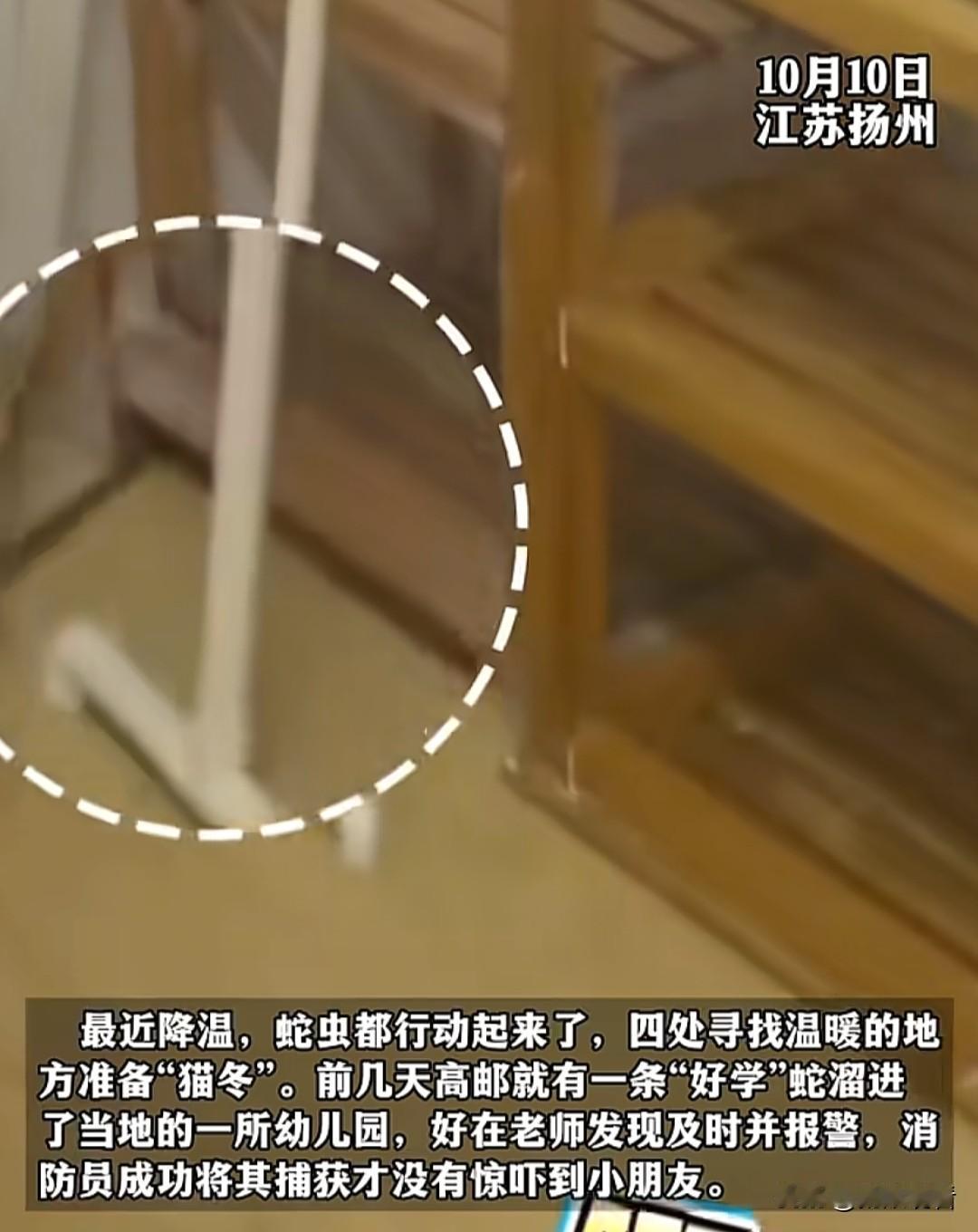 扬州幼儿园惊现“好学蛇”！消防员火速上门“请走”😂谁能想到！扬州高邮一幼