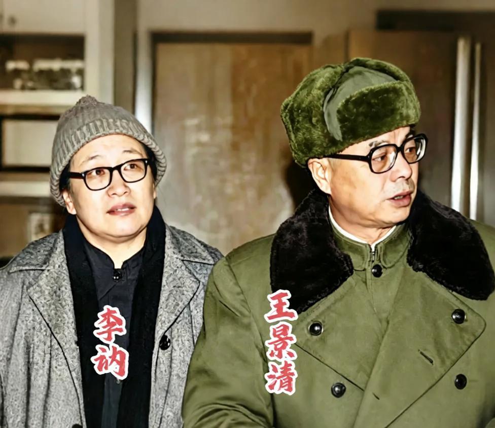 李讷带着刚结婚的王景清去探望母亲。母亲见到女婿，没有寒暄客套，而是默默打量了一会
