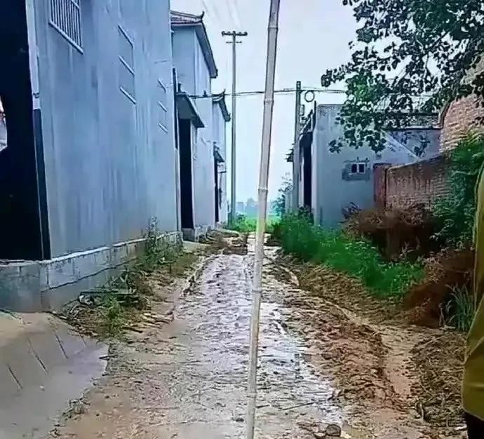 把路修成这样，这不纯粹的欺负老实人吗？