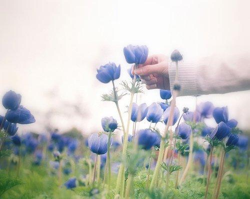 你知道吗？爱情这东西啊，往往就像那天突然打了个喷嚏，明明不知道为什么就来了，但一