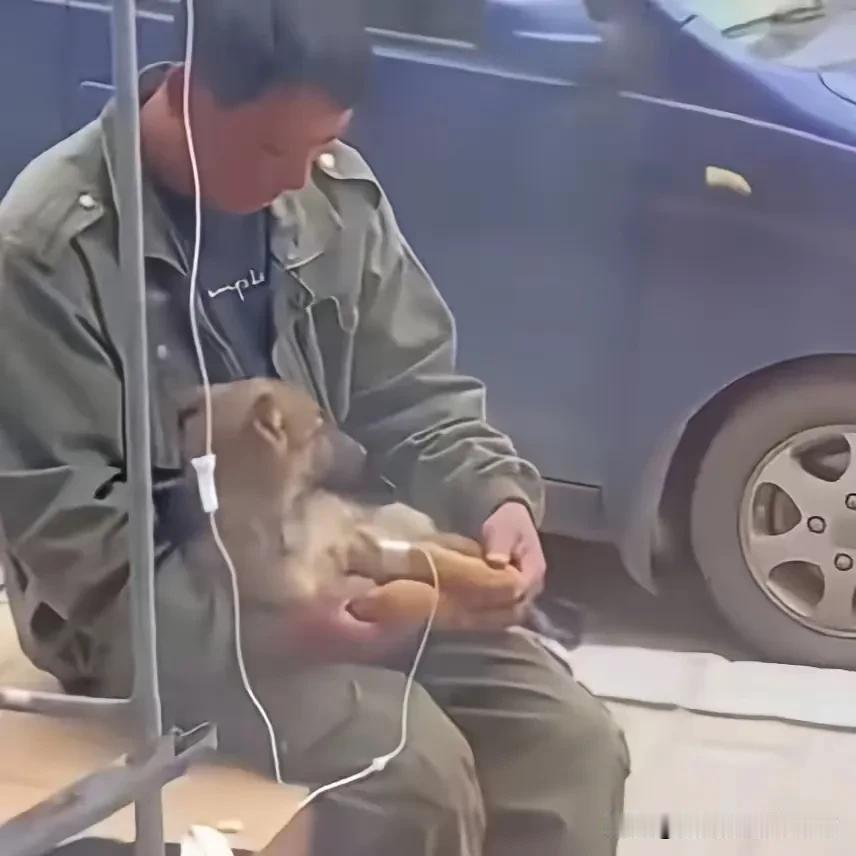 工地上的农民工们收养了一只流浪狗，大家一起喂它，一起和它玩耍狗狗给枯燥的工地生活