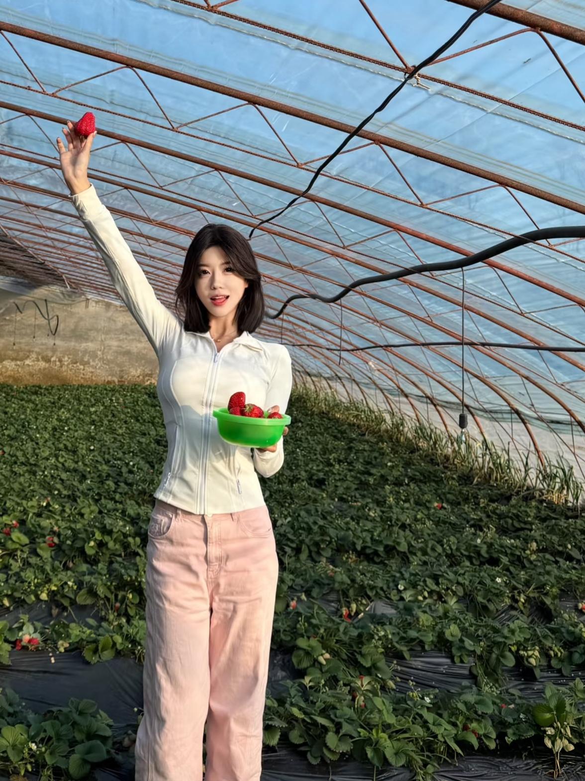 天气这么好来摘草莓