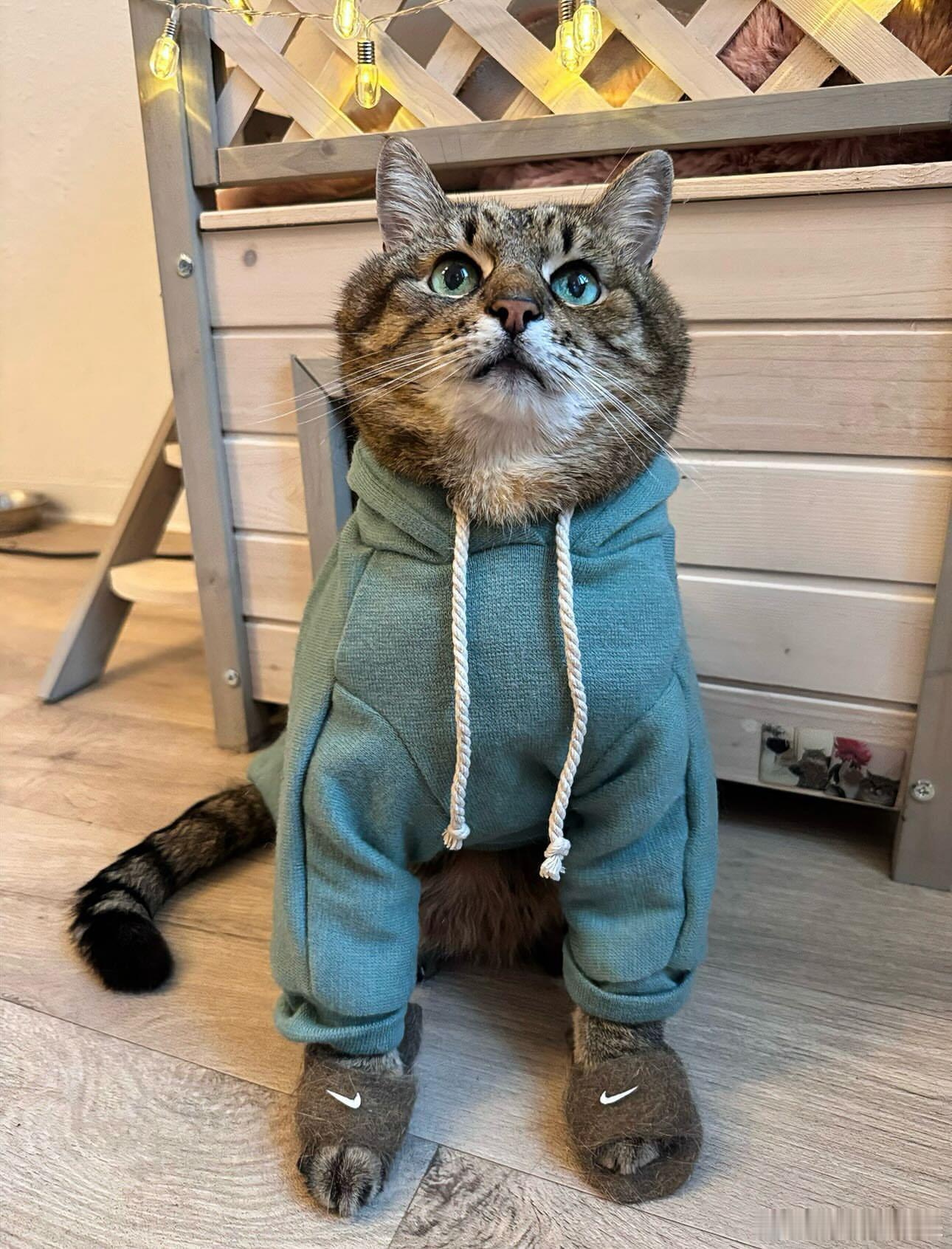 潮男emo猫斯特潘cr：loveyoustepan​​​